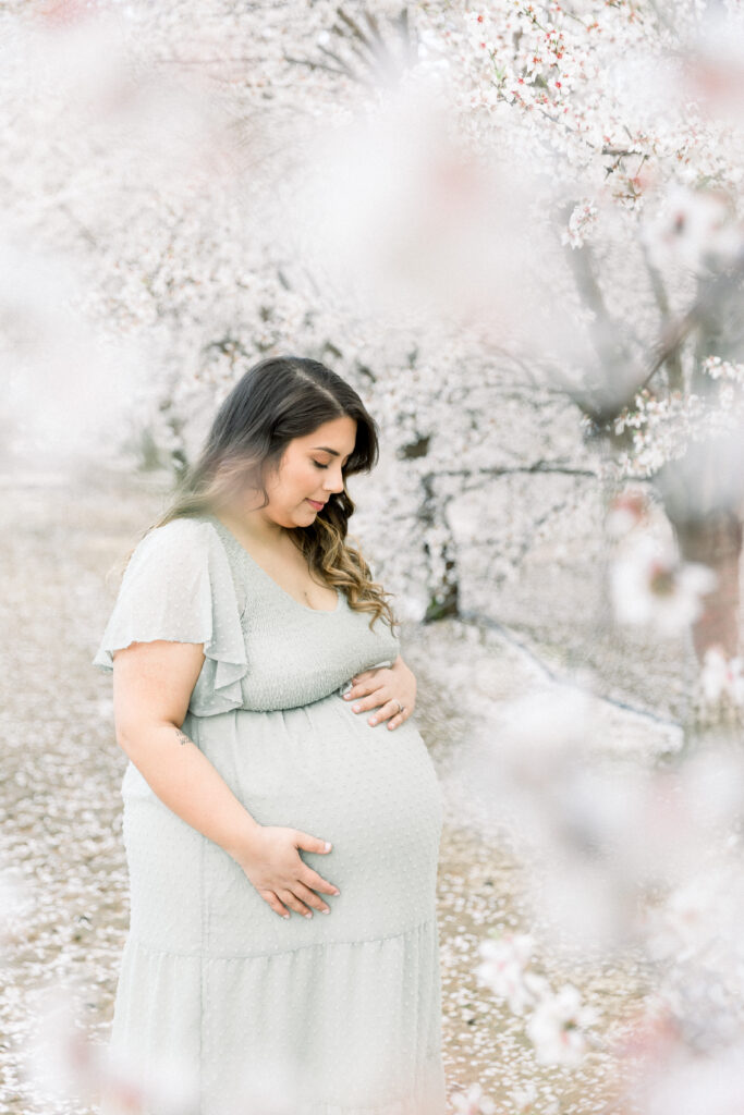 maternity session