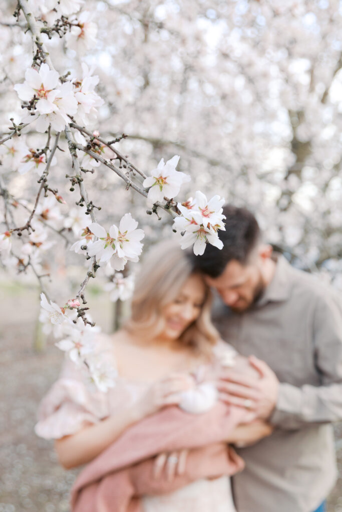 almond blossom