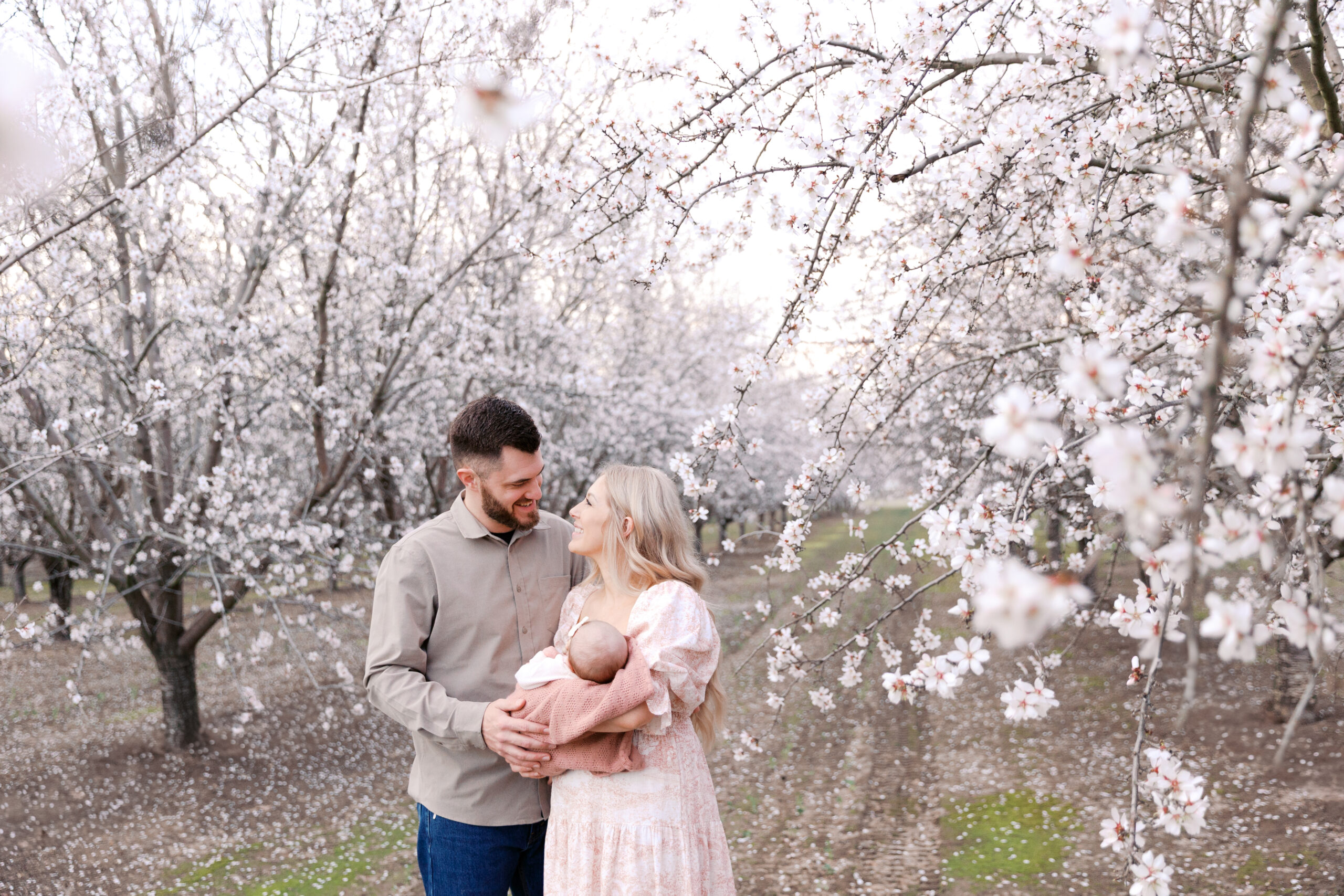 almond blossom