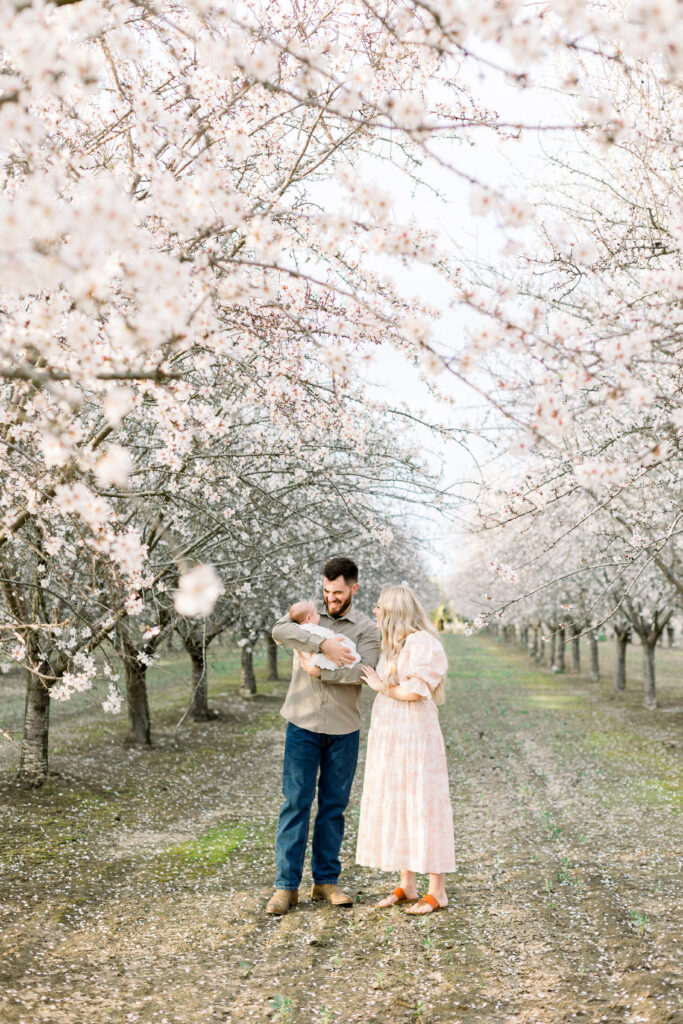 almond blossom