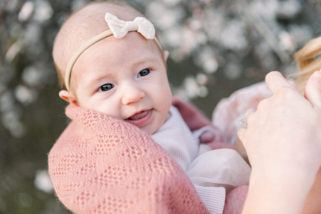 almond blossom