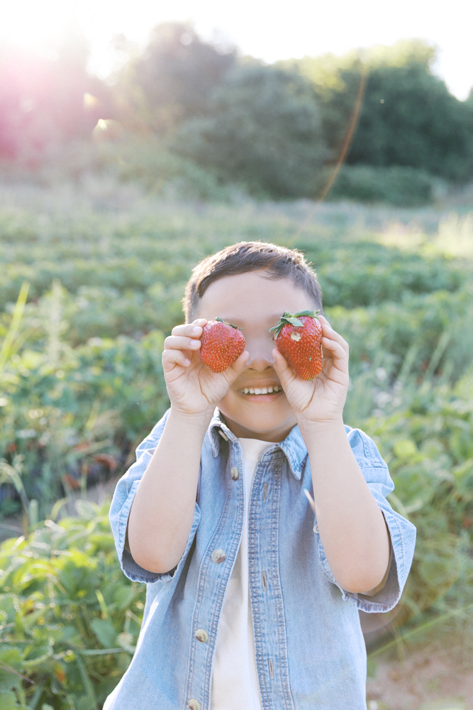 Little boy holding strawberries over his eyes in a strawberry field, one of the best locations for family photos in Sacramento in spring