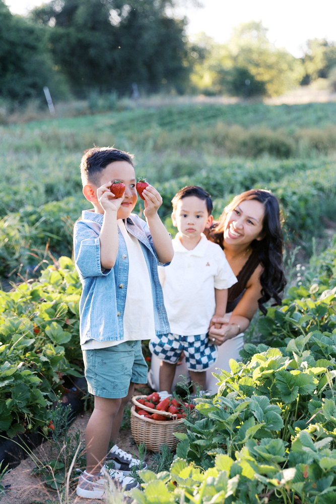 Family of four walking together through a strawberry farm in Sacramento