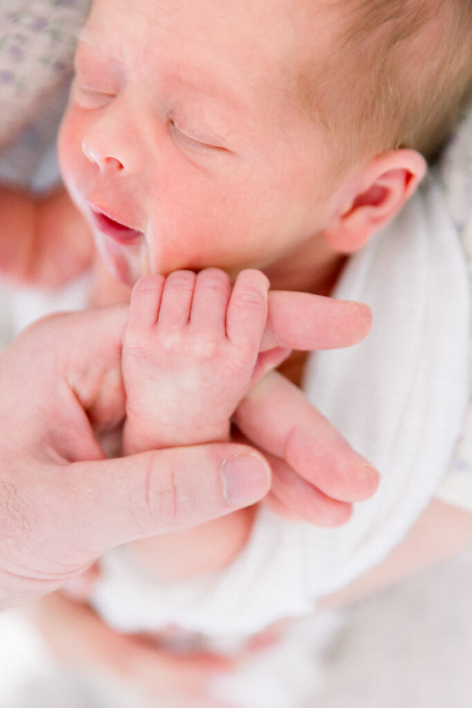 newborn portraits