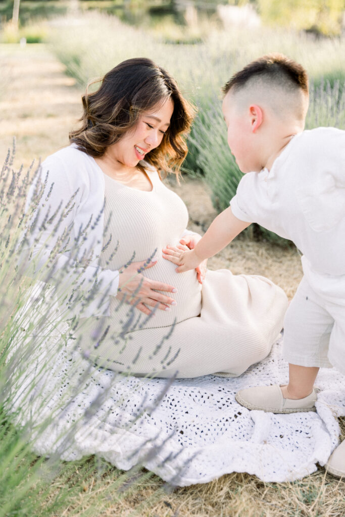 boy touching mothers belly in a lavender field taken by sacramento family photographer kelsey krall