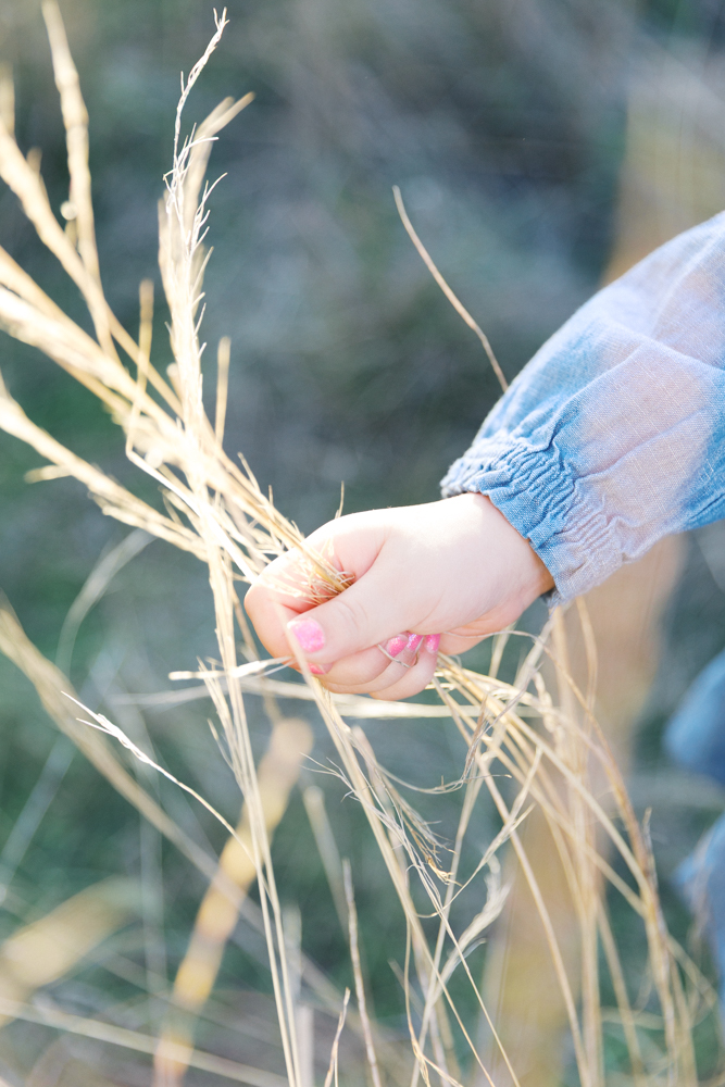 little girl's hand with pink painted nails holding onto tall grass